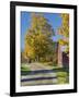 Road Beside Classic Farm in Autumn, New Hampshire, USA-Adam Jones-Framed Premium Photographic Print
