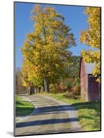Road Beside Classic Farm in Autumn, New Hampshire, USA-Adam Jones-Mounted Photographic Print