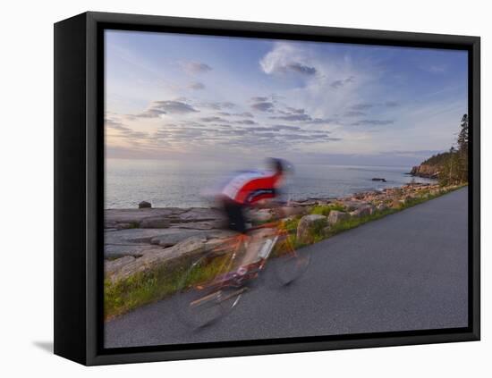 Road Bicycling in Acadia National Park, Maine, Usa-Chuck Haney-Framed Stretched Canvas