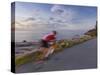 Road Bicycling in Acadia National Park, Maine, Usa-Chuck Haney-Stretched Canvas