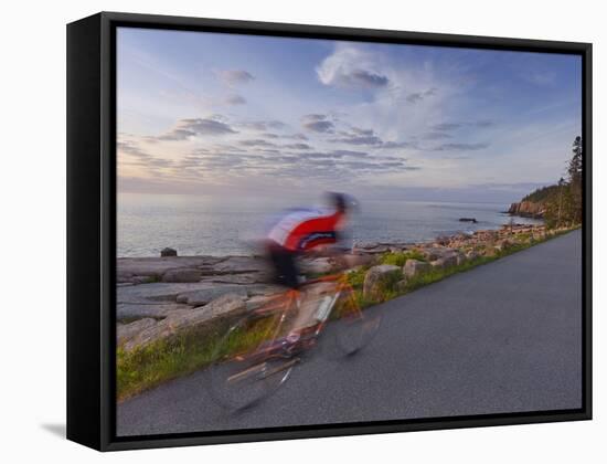 Road Bicycling in Acadia National Park, Maine, Usa-Chuck Haney-Framed Stretched Canvas