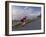 Road Bicycling in Acadia National Park, Maine, Usa-Chuck Haney-Framed Photographic Print