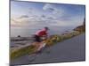 Road Bicycling in Acadia National Park, Maine, Usa-Chuck Haney-Mounted Photographic Print
