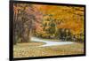 Road Bicycling in Autumn at Brown County State Park, Indiana, USA-Chuck Haney-Framed Photographic Print