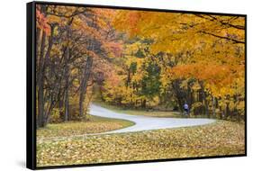 Road Bicycling in Autumn at Brown County State Park, Indiana, USA-Chuck Haney-Framed Stretched Canvas
