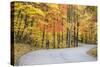 Road Bicycling in Autumn at Brown County State Park, Indiana, USA-Chuck Haney-Stretched Canvas