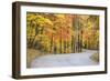 Road Bicycling in Autumn at Brown County State Park, Indiana, USA-Chuck Haney-Framed Photographic Print