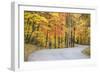 Road Bicycling in Autumn at Brown County State Park, Indiana, USA-Chuck Haney-Framed Photographic Print