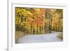 Road Bicycling in Autumn at Brown County State Park, Indiana, USA-Chuck Haney-Framed Photographic Print