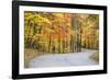 Road Bicycling in Autumn at Brown County State Park, Indiana, USA-Chuck Haney-Framed Photographic Print