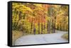 Road Bicycling in Autumn at Brown County State Park, Indiana, USA-Chuck Haney-Framed Stretched Canvas