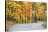 Road Bicycling in Autumn at Brown County State Park, Indiana, USA-Chuck Haney-Stretched Canvas