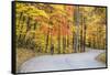 Road Bicycling in Autumn at Brown County State Park, Indiana, USA-Chuck Haney-Framed Stretched Canvas