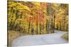 Road Bicycling in Autumn at Brown County State Park, Indiana, USA-Chuck Haney-Stretched Canvas