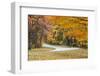 Road Bicycling in Autumn at Brown County State Park, Indiana, USA-Chuck Haney-Framed Photographic Print