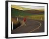 Road Bicycling in the Palouse Country Near Pullman, Washington, USA-Chuck Haney-Framed Photographic Print