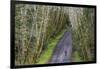 Road bicycling on the Hoh Road in Olympic National Forest, Washington State, USA (MR)-Chuck Haney-Framed Photographic Print