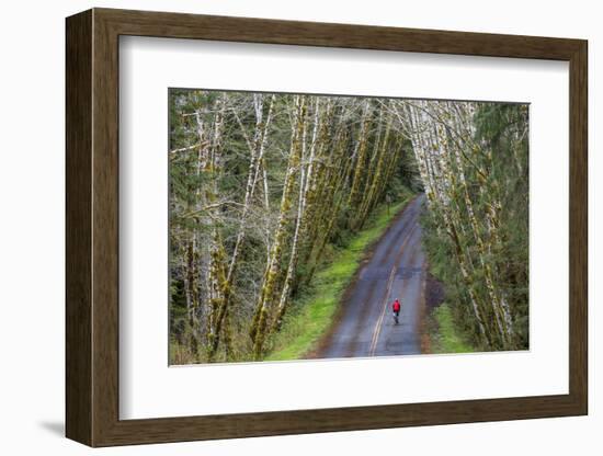 Road bicycling on the Hoh Road in Olympic National Forest, Washington State, USA (MR)-Chuck Haney-Framed Photographic Print