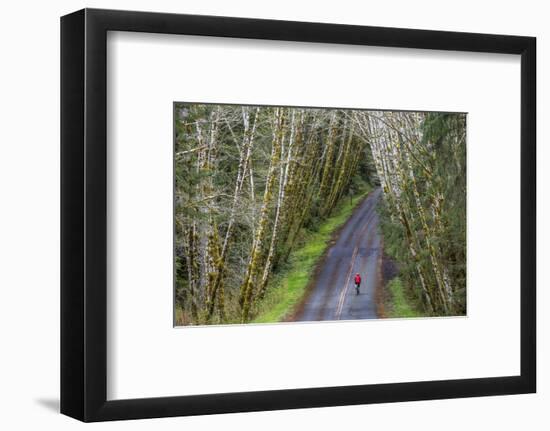 Road bicycling on the Hoh Road in Olympic National Forest, Washington State, USA (MR)-Chuck Haney-Framed Photographic Print