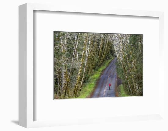 Road bicycling on the Hoh Road in Olympic National Forest, Washington State, USA (MR)-Chuck Haney-Framed Photographic Print