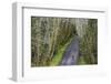 Road bicycling on the Hoh Road in Olympic National Forest, Washington State, USA (MR)-Chuck Haney-Framed Photographic Print