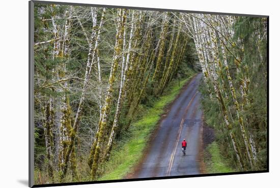 Road bicycling on the Hoh Road in Olympic National Forest, Washington State, USA (MR)-Chuck Haney-Mounted Photographic Print