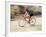 Road Biker in Vail, Colorado, USA-Lee Kopfler-Framed Photographic Print