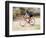 Road Biker in Vail, Colorado, USA-Lee Kopfler-Framed Photographic Print