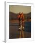 Road Biker, Santa Fe, New Mexico, USA-Lee Kopfler-Framed Premium Photographic Print