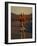 Road Biker, Santa Fe, New Mexico, USA-Lee Kopfler-Framed Photographic Print