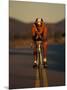 Road Biker, Santa Fe, New Mexico, USA-Lee Kopfler-Mounted Photographic Print