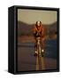 Road Biker, Santa Fe, New Mexico, USA-Lee Kopfler-Framed Stretched Canvas