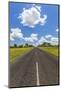 Road, Botswana, Africa-Peter Adams-Mounted Photographic Print