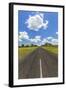 Road, Botswana, Africa-Peter Adams-Framed Photographic Print