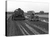 Road Construction Work, Doncaster, South Yorkshire, November 1955-Michael Walters-Stretched Canvas