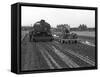 Road Construction Work, Doncaster, South Yorkshire, November 1955-Michael Walters-Framed Stretched Canvas