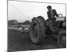 Road Construction Work, Doncaster, South Yorkshire, November 1955-Michael Walters-Mounted Photographic Print