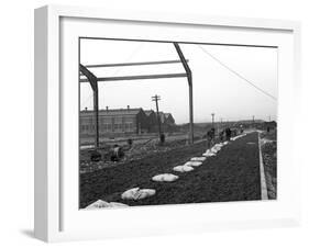 Road Construction Work, Doncaster, South Yorkshire, November 1955-Michael Walters-Framed Photographic Print