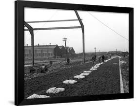 Road Construction Work, Doncaster, South Yorkshire, November 1955-Michael Walters-Framed Photographic Print