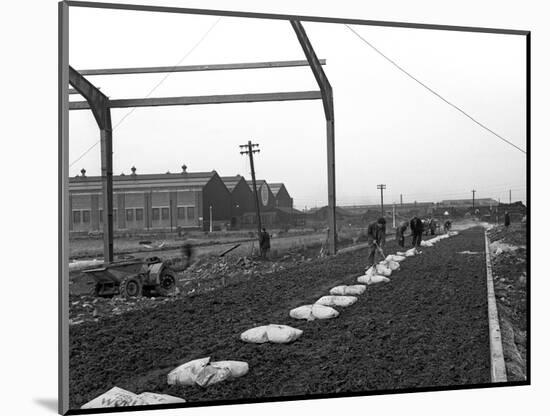 Road Construction Work, Doncaster, South Yorkshire, November 1955-Michael Walters-Mounted Photographic Print