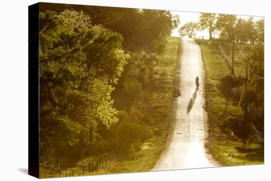 Road Cycling in Texas Hill Country Near Fredericksburg, Texas, Usa-Chuck Haney-Stretched Canvas