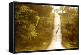 Road Cycling in Texas Hill Country Near Fredericksburg, Texas, Usa-Chuck Haney-Framed Stretched Canvas