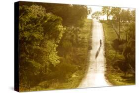 Road Cycling in Texas Hill Country Near Fredericksburg, Texas, Usa-Chuck Haney-Stretched Canvas