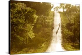 Road Cycling in Texas Hill Country Near Fredericksburg, Texas, Usa-Chuck Haney-Stretched Canvas