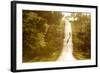 Road Cycling in Texas Hill Country Near Fredericksburg, Texas, Usa-Chuck Haney-Framed Photographic Print