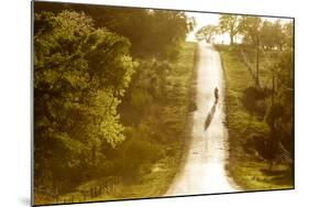 Road Cycling in Texas Hill Country Near Fredericksburg, Texas, Usa-Chuck Haney-Mounted Photographic Print