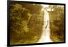 Road Cycling in Texas Hill Country Near Fredericksburg, Texas, Usa-Chuck Haney-Framed Photographic Print