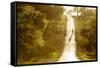 Road Cycling in Texas Hill Country Near Fredericksburg, Texas, Usa-Chuck Haney-Framed Stretched Canvas