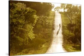 Road Cycling in Texas Hill Country Near Fredericksburg, Texas, Usa-Chuck Haney-Stretched Canvas