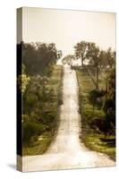 Road Cycling in Texas Hill Country Near Fredericksburg, Texas, Usa-Chuck Haney-Stretched Canvas